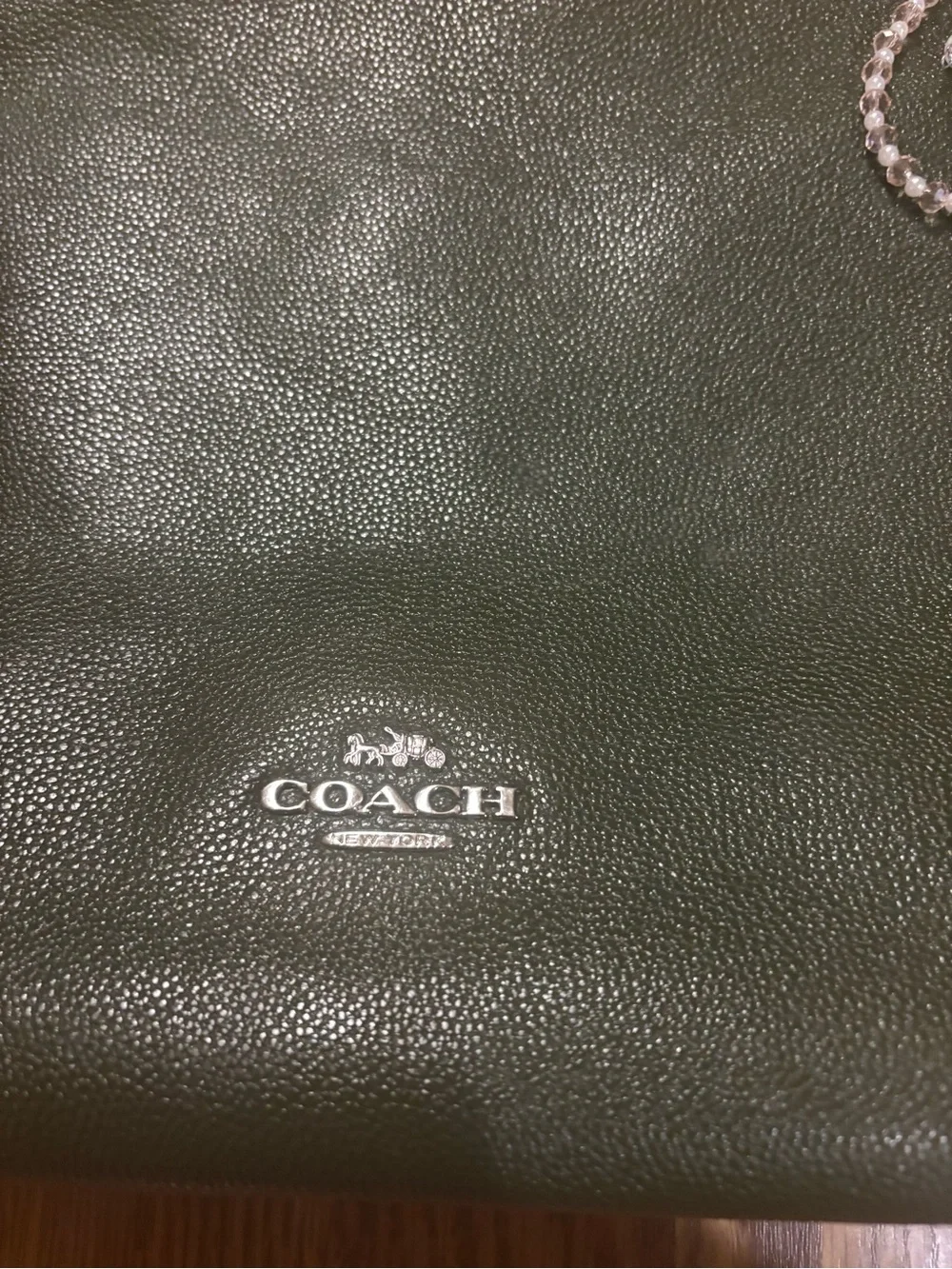Coach Dark Green Leather Skylar Hobo Bag